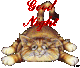 :bonne-nuit: